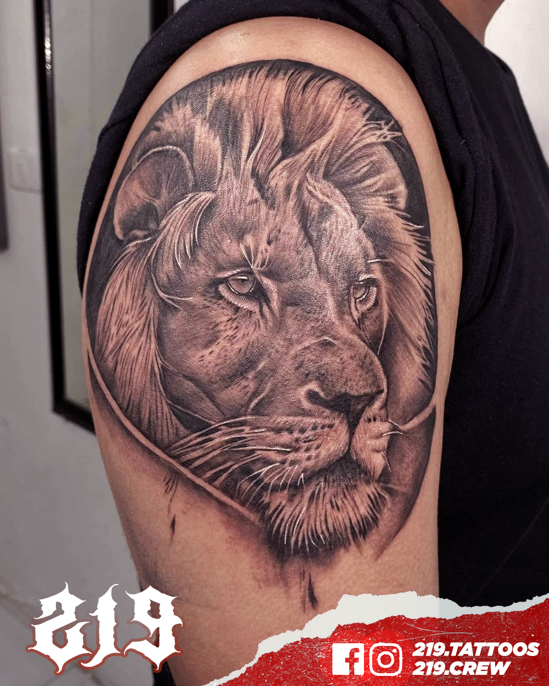 Trabajo de Alexis Arredondo 5
